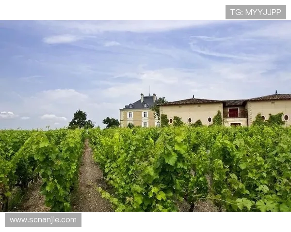 尼斯对波尔多精彩直播全程回顾与赛后分析尽在这里